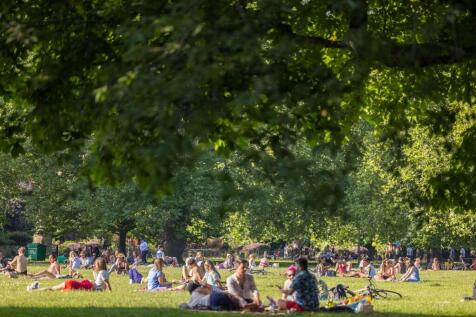 Exchange Gardens,
London,
SW8 1DF