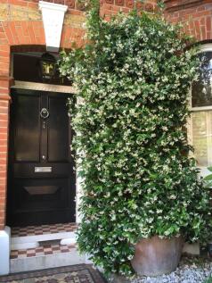 Soudan Road, London, SW11
